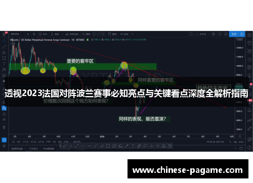 透视2023法国对阵波兰赛事必知亮点与关键看点深度全解析指南