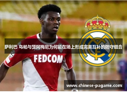 萨利巴 乌帕与楚阿梅尼为何能在场上形成完美互补的防守组合