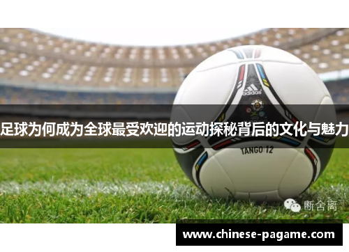 足球为何成为全球最受欢迎的运动探秘背后的文化与魅力